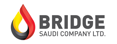 bridge | 10x Digital Ventures