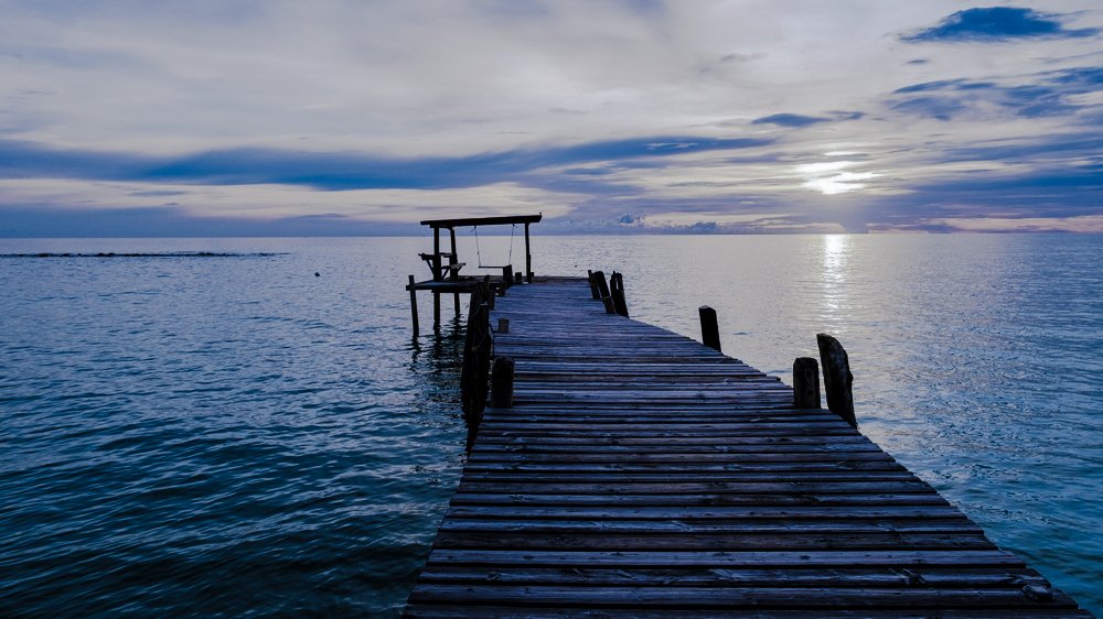 4 | 10x Digital Ventures