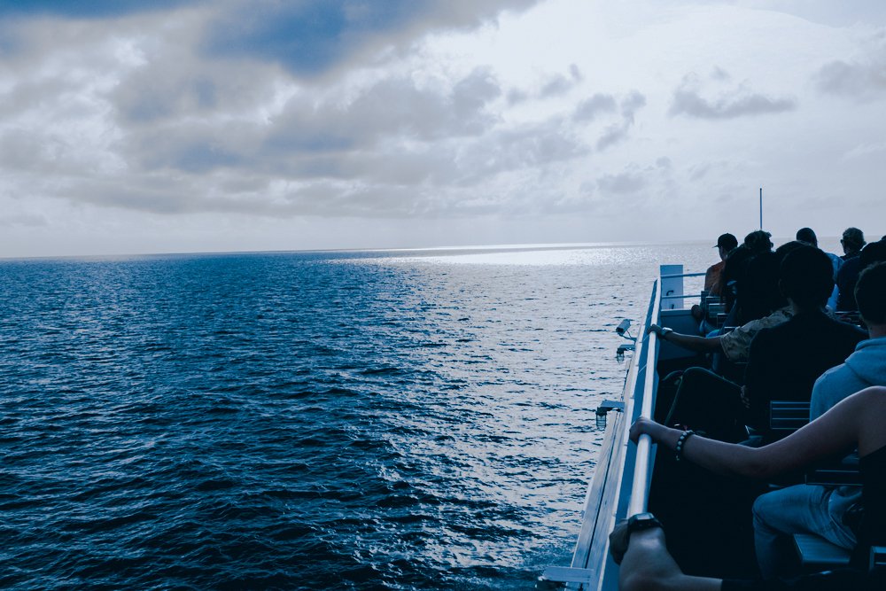 image 101 | 10x Digital Ventures